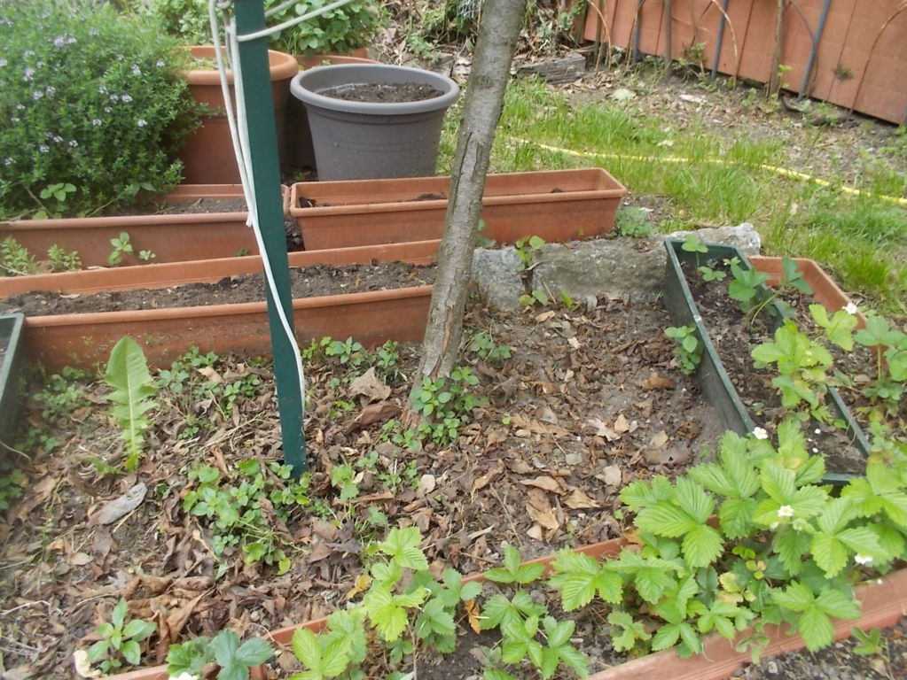 DSCN1875 (FILEminimizer)