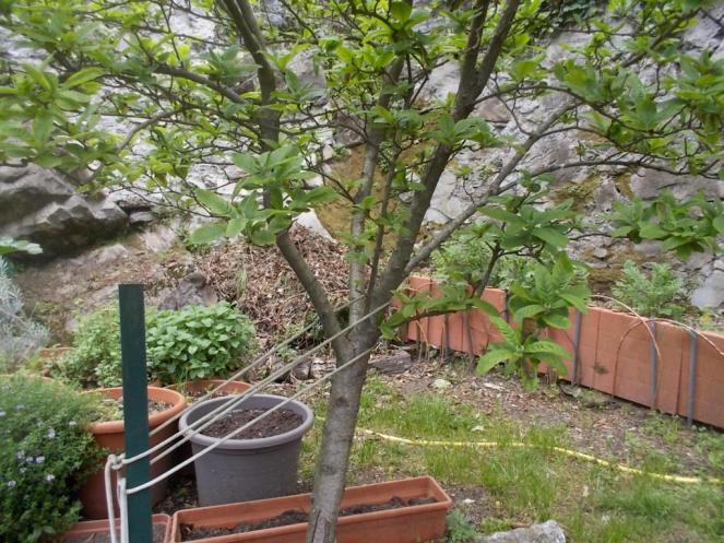 DSCN1876 (FILEminimizer)