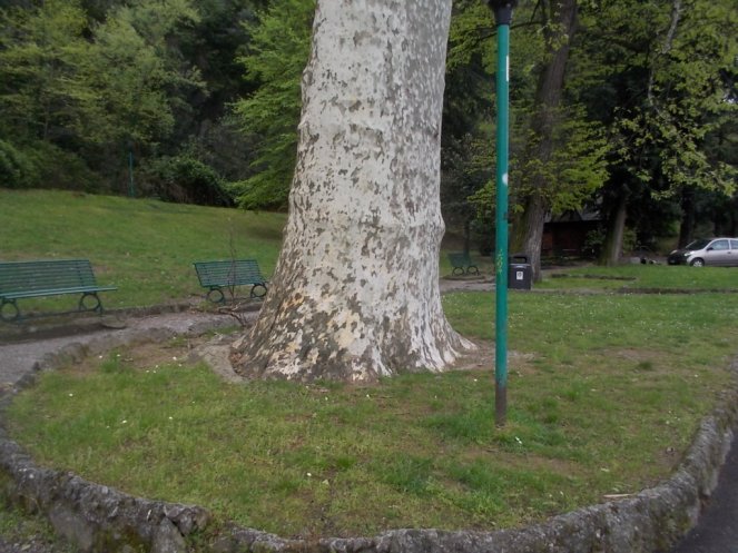 DSCN1887 (FILEminimizer)