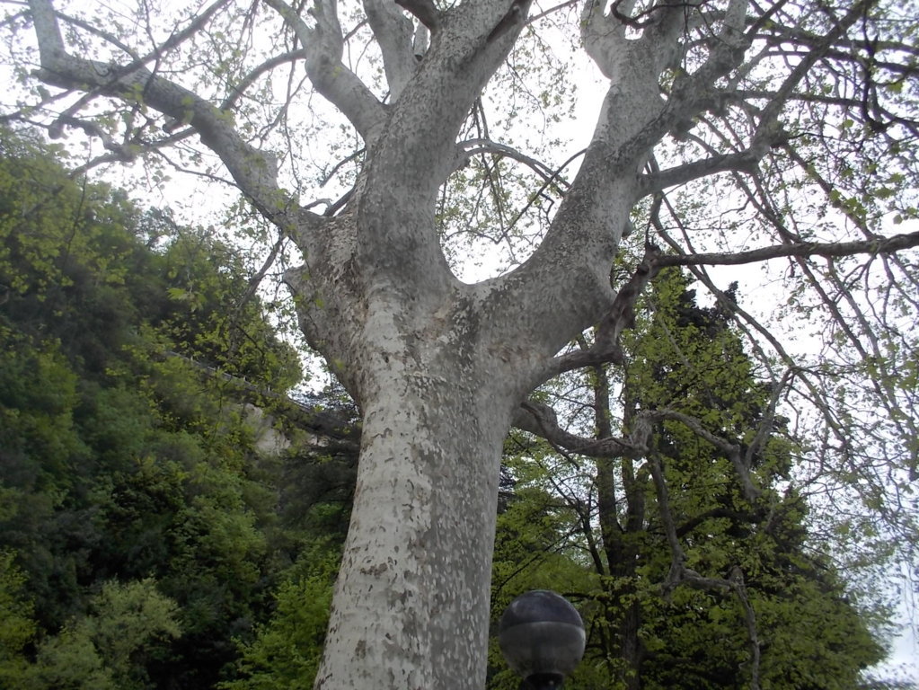 DSCN1888 (FILEminimizer)