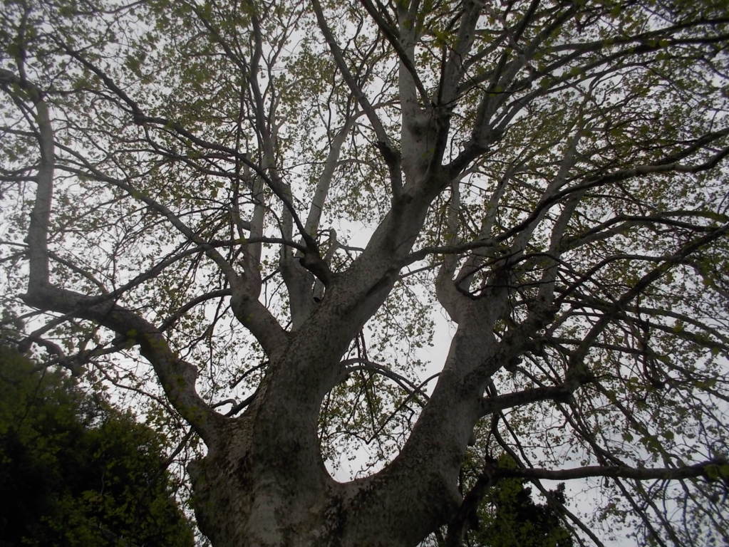 DSCN1889 (FILEminimizer)