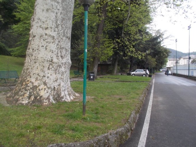 DSCN1890 (FILEminimizer)