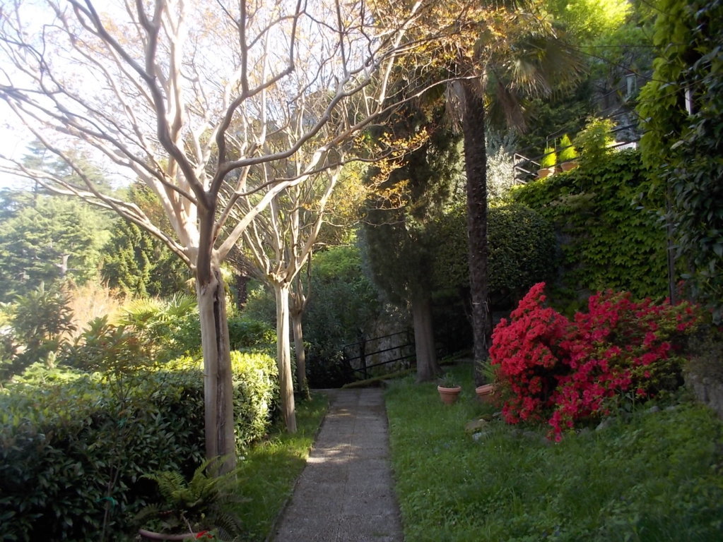 DSCN1906 (FILEminimizer)