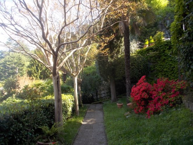 DSCN1906 (FILEminimizer)