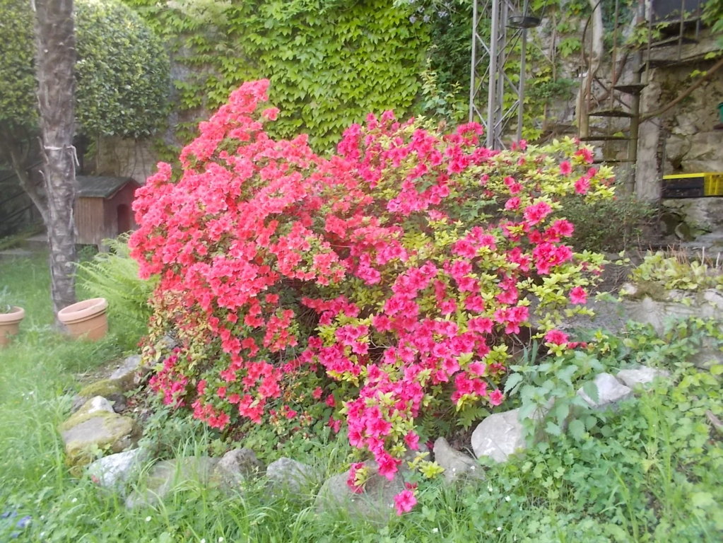 DSCN1907 (FILEminimizer)