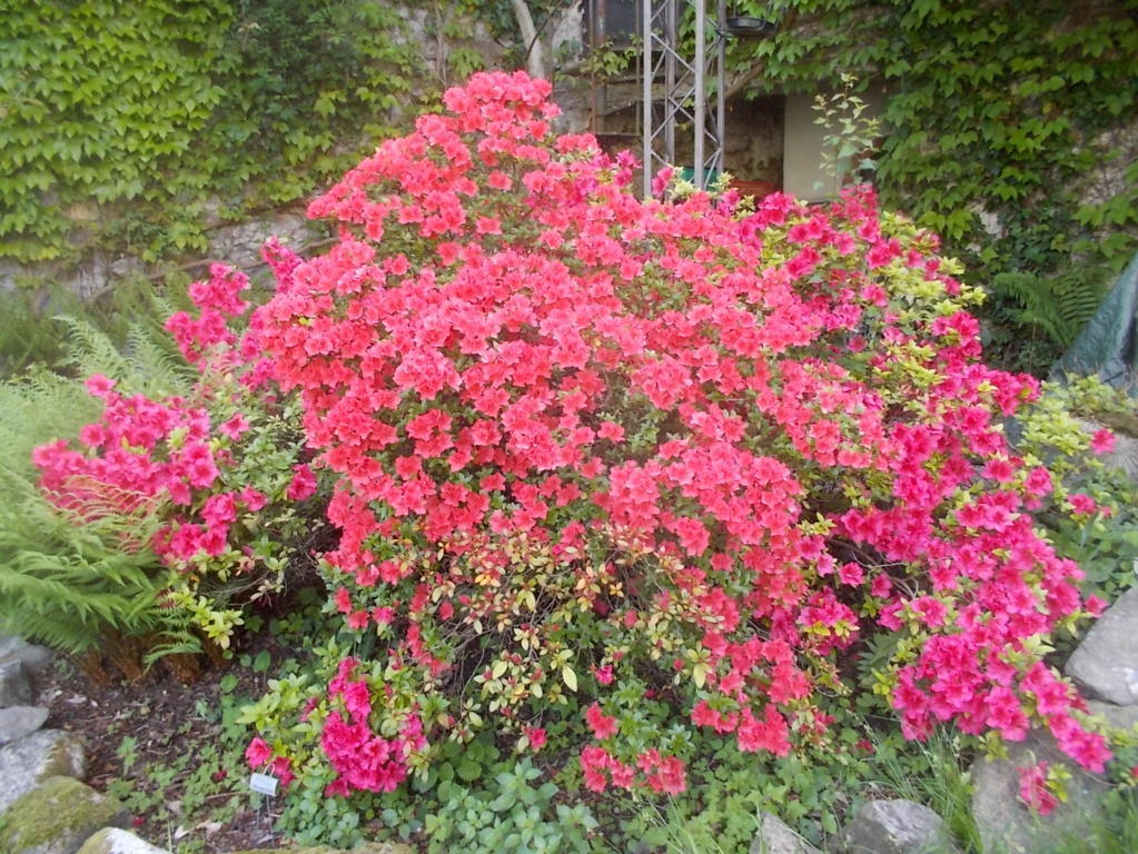 DSCN1908 (FILEminimizer)