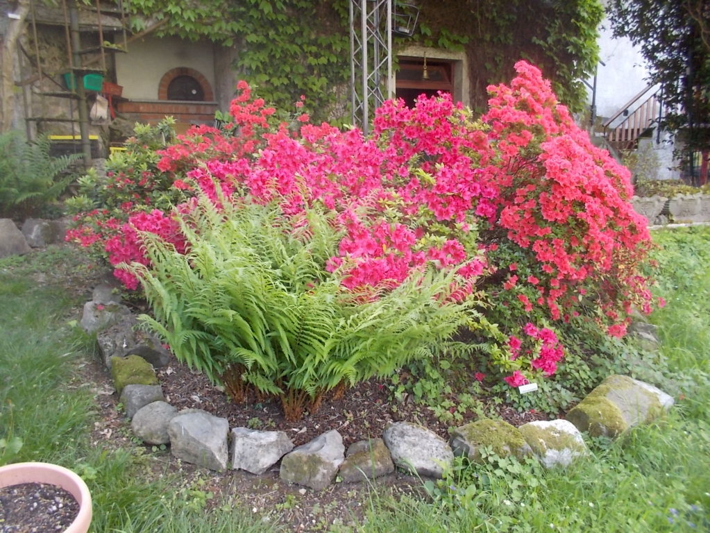 DSCN1909 (FILEminimizer)