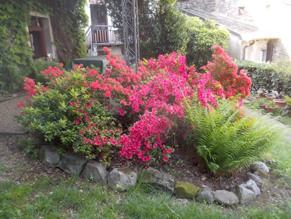 DSCN1910 (FILEminimizer)