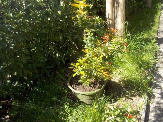 DSCN1921 (FILEminimizer)