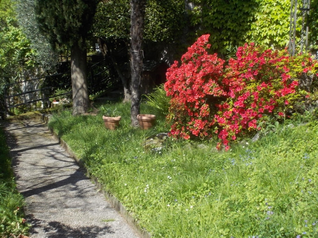 DSCN1930 (FILEminimizer)