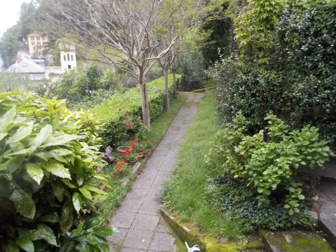 DSCN2128 (FILEminimizer)