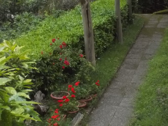 DSCN2129 (FILEminimizer)