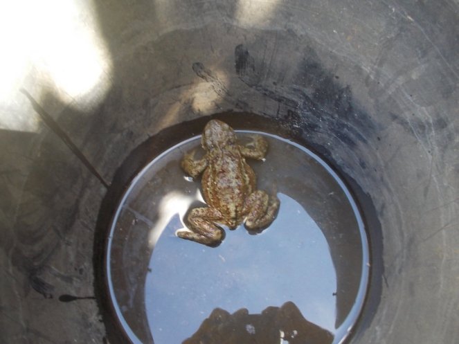 DSCN2134 (FILEminimizer)