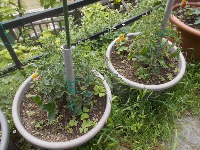 DSCN2138 (FILEminimizer)