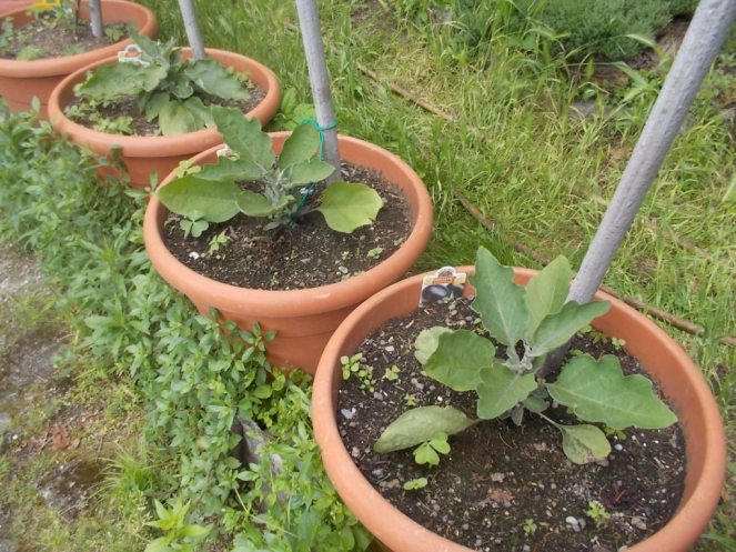 DSCN2149 (FILEminimizer)