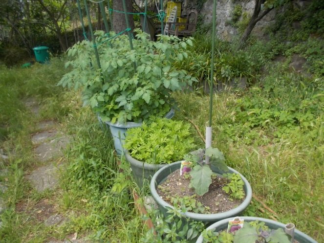 DSCN2151 (FILEminimizer)