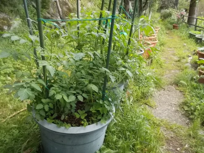 DSCN2153 (FILEminimizer)