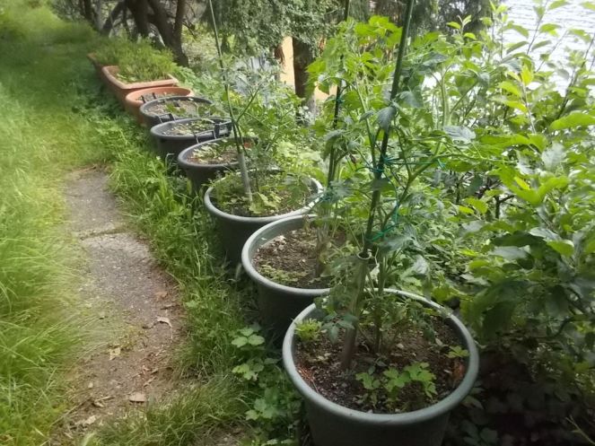 DSCN2155 (FILEminimizer)