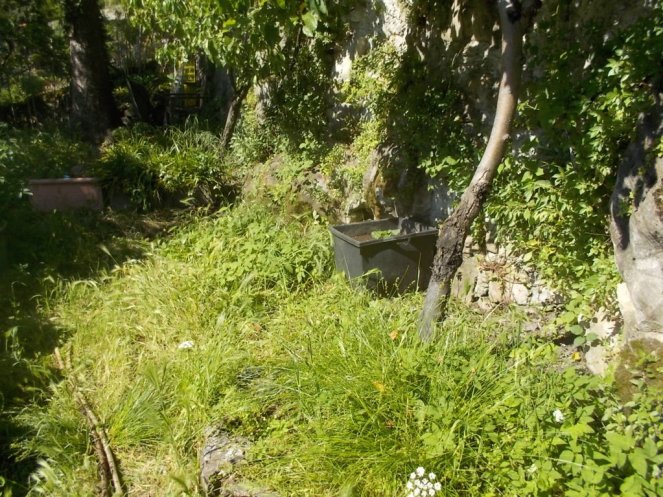 DSCN2158 (FILEminimizer)