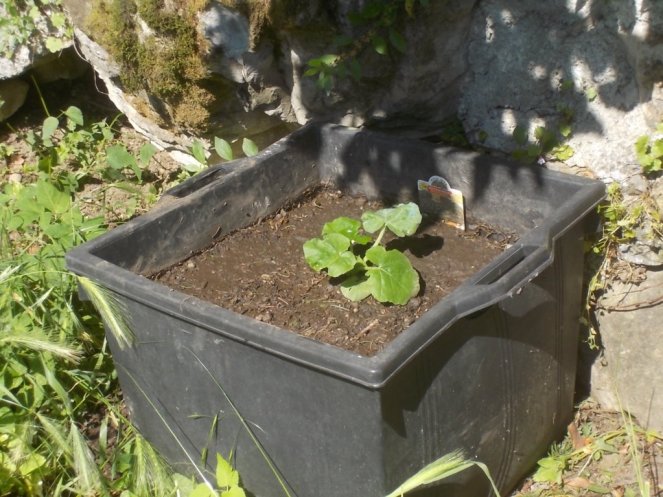 DSCN2159 (FILEminimizer)