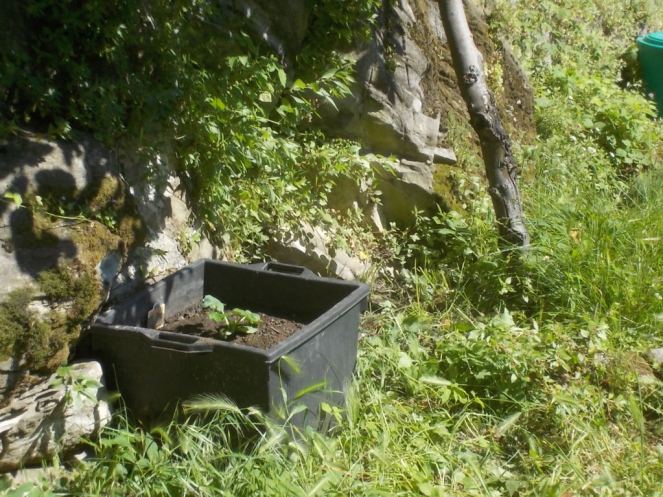 DSCN2160 (FILEminimizer)