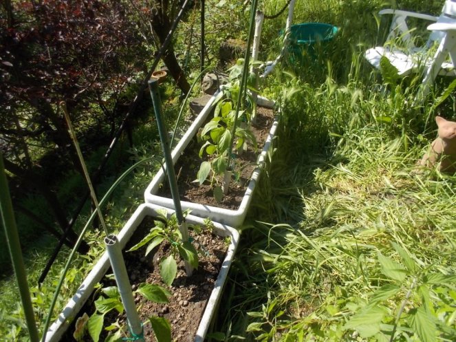 DSCN2165 (FILEminimizer)