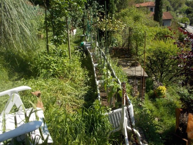 DSCN2166 (FILEminimizer)