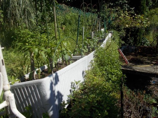 DSCN2167 (FILEminimizer)