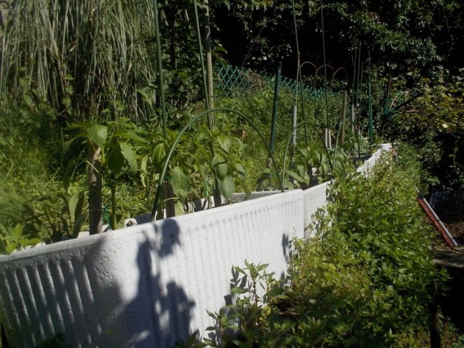 DSCN2168 (FILEminimizer)