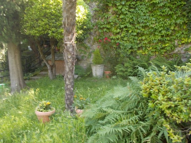 DSCN2169 (FILEminimizer)