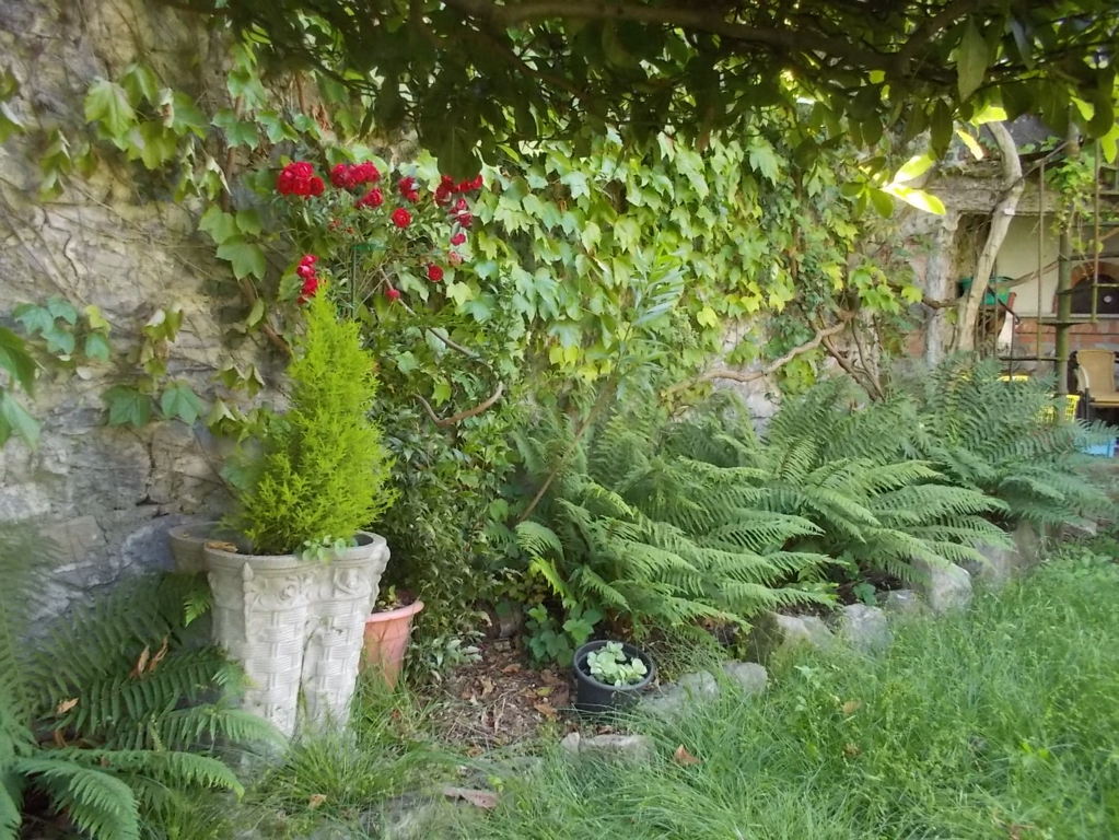 DSCN2173 (FILEminimizer)