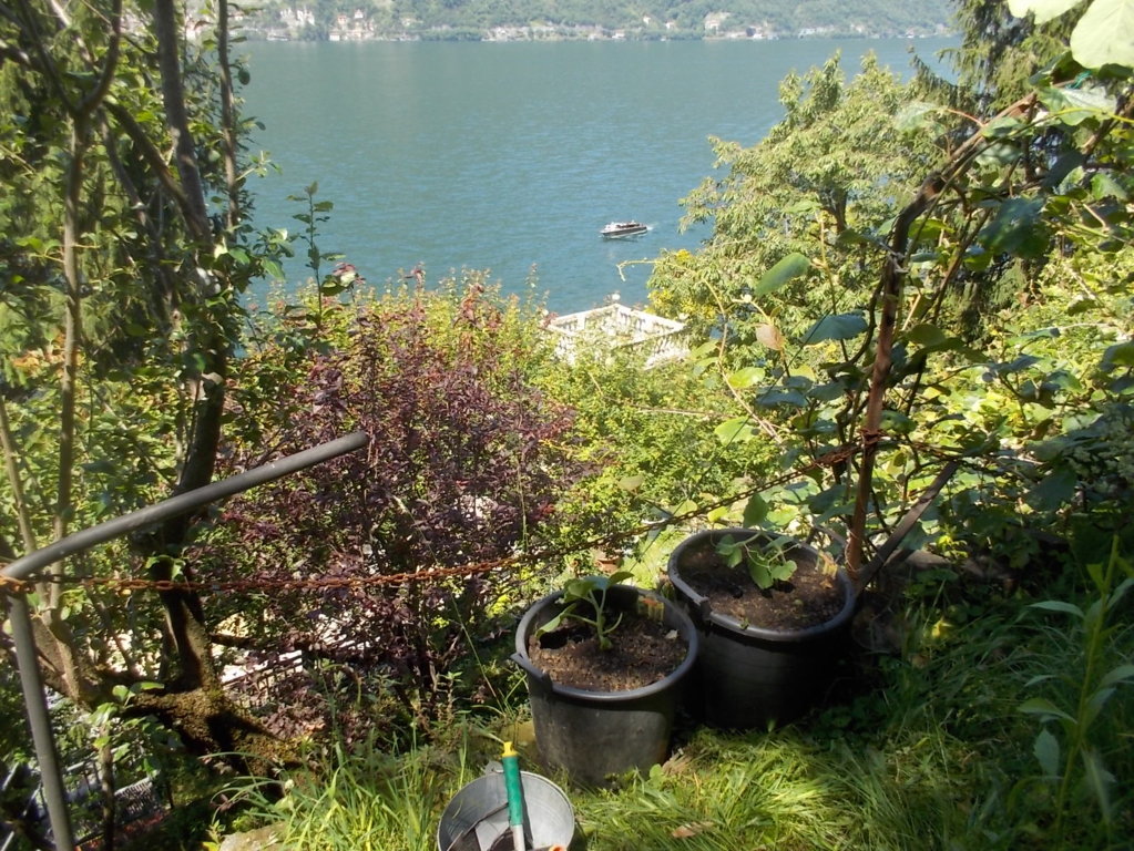 DSCN2174 (FILEminimizer)