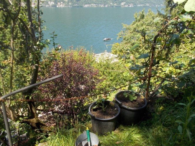 DSCN2174 (FILEminimizer)