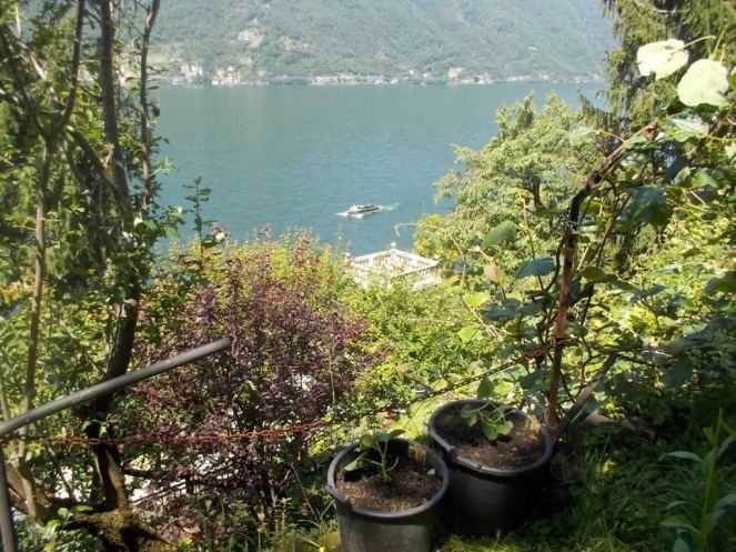 DSCN2175 (FILEminimizer)