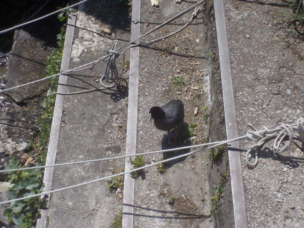 DSCN2180 (FILEminimizer)