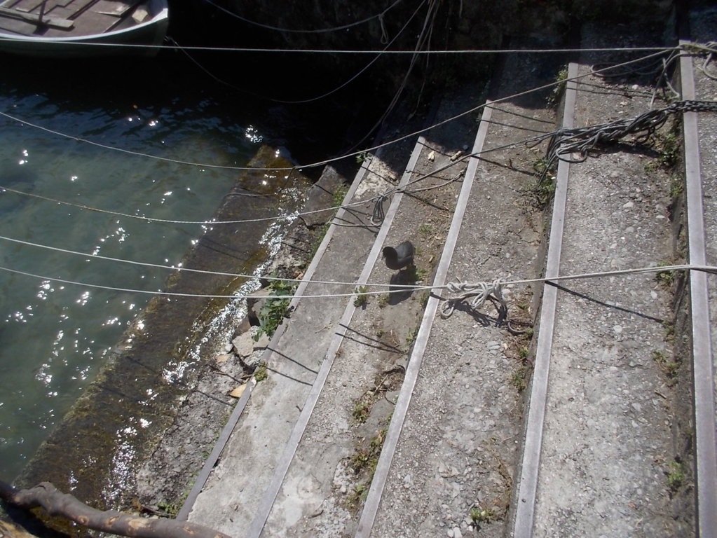 DSCN2181 (FILEminimizer)