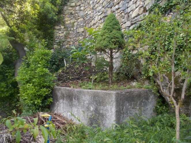 DSCN2195 (FILEminimizer)