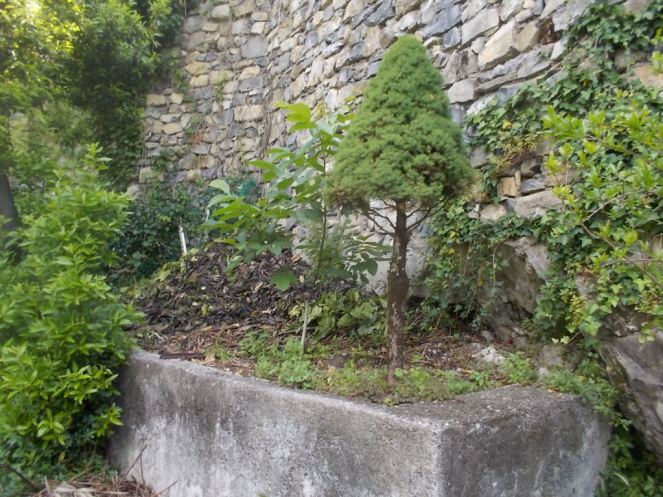 DSCN2196 (FILEminimizer)