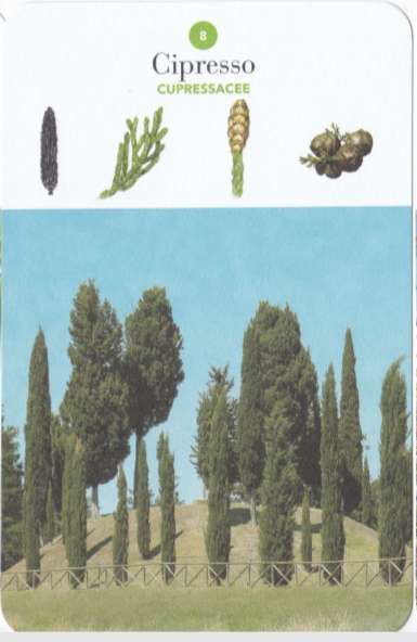 2019-07-21_174322 (FILEminimizer)