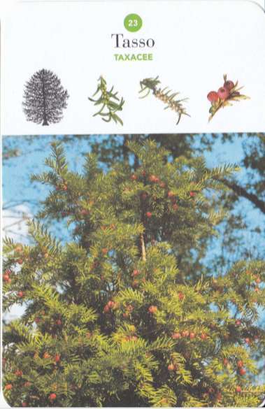 2019-07-21_174341 (FILEminimizer)