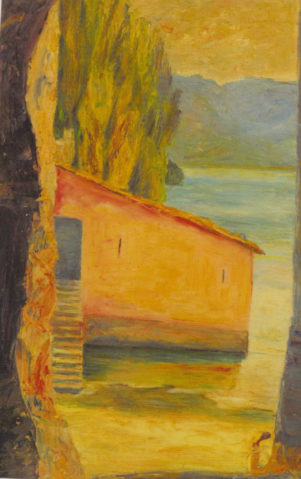 de carli1988