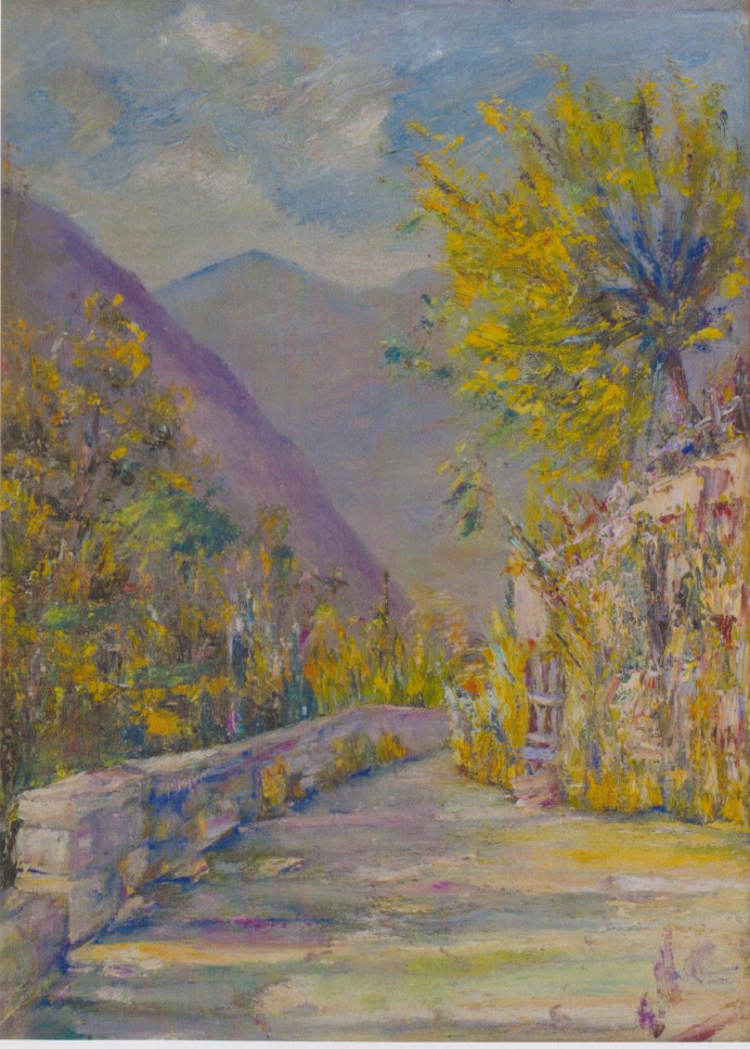 de carli1993