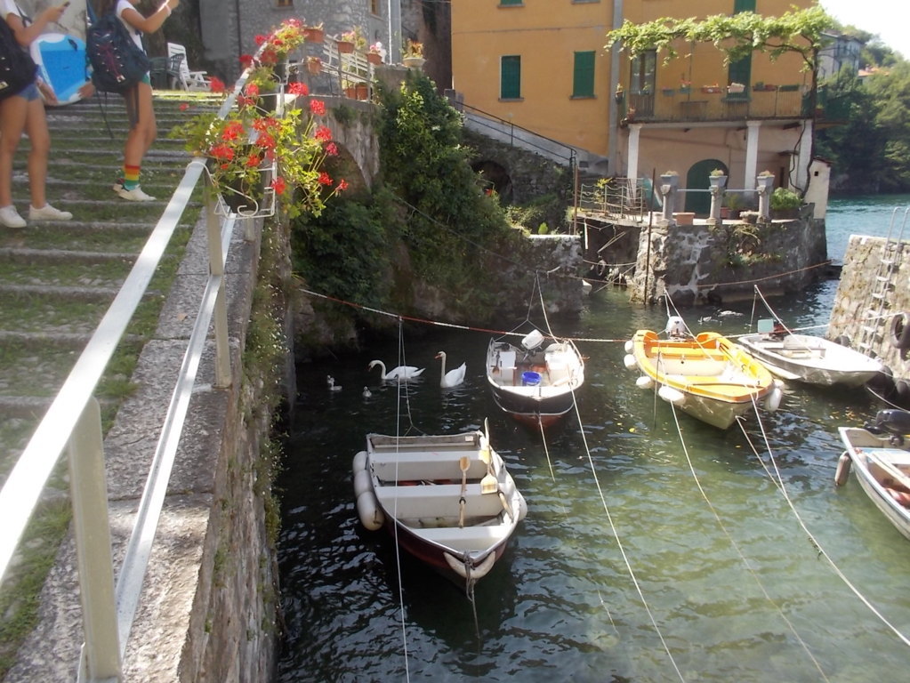 DSCN2296 (FILEminimizer)