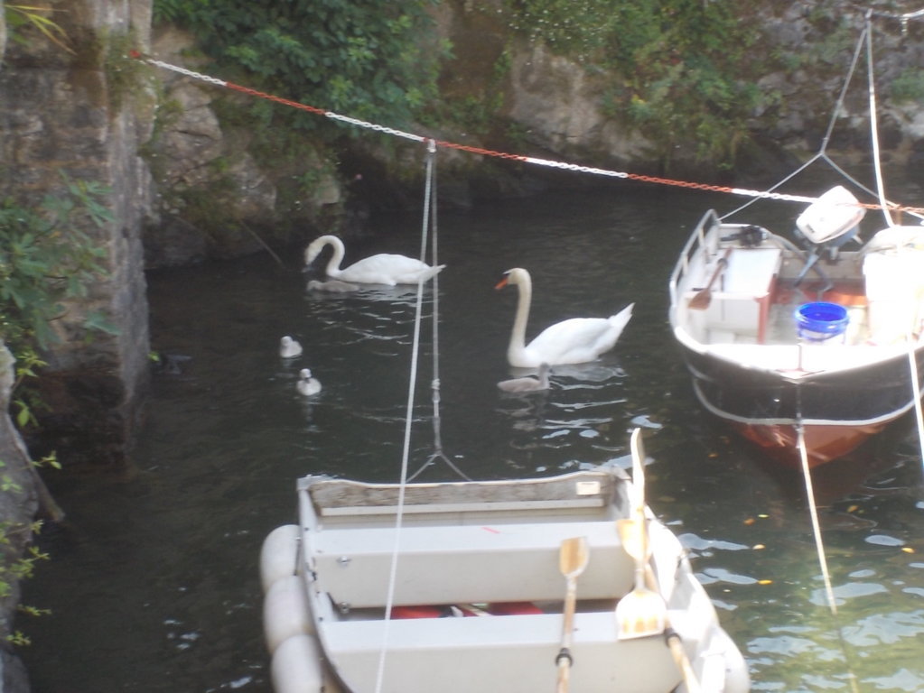 DSCN2297 (FILEminimizer)