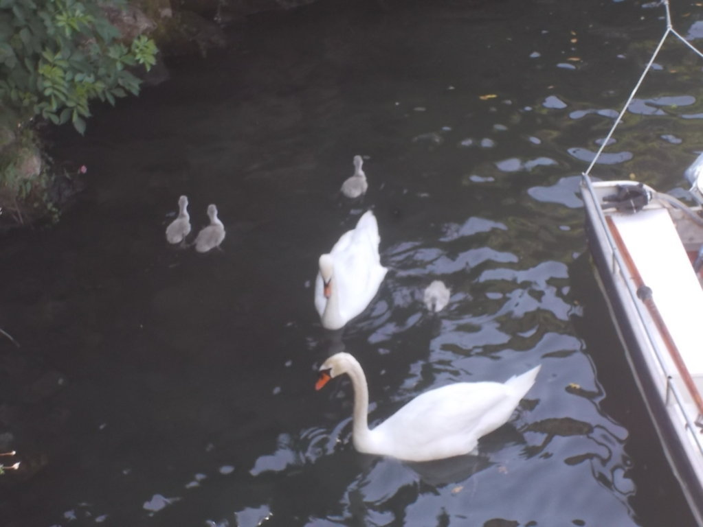 DSCN2298 (FILEminimizer)