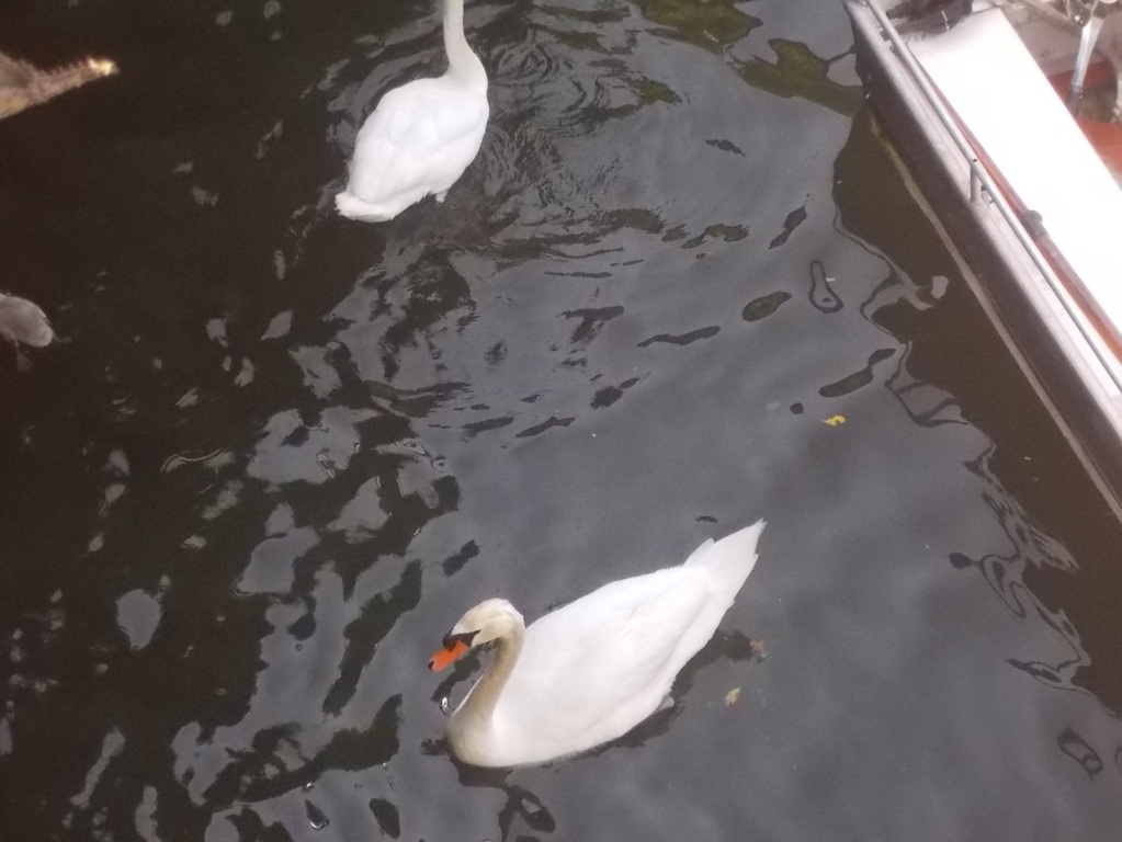 DSCN2299 (FILEminimizer)