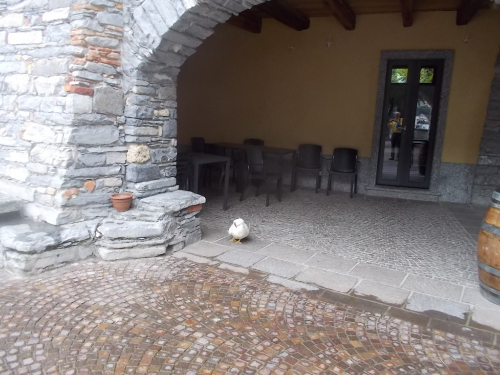 DSCN2308 (FILEminimizer)