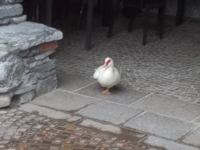 DSCN2309 (FILEminimizer)