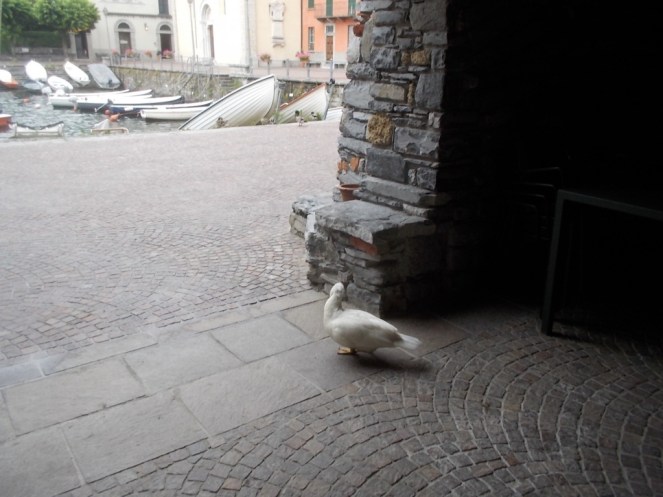 DSCN2311 (FILEminimizer)