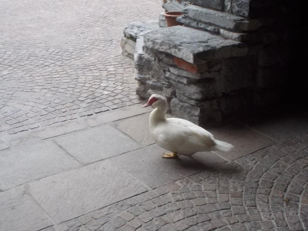 DSCN2312 (FILEminimizer)